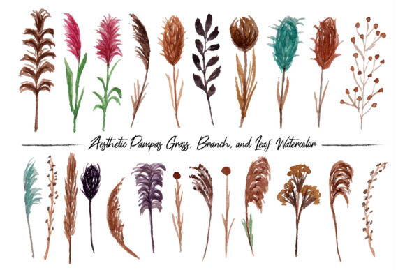 Boho Pampas Grass and Branch Watercolor Illustrations