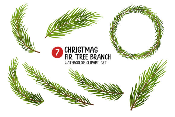 Christmas Fir Tree Branch Watercolor Set and Illustrations