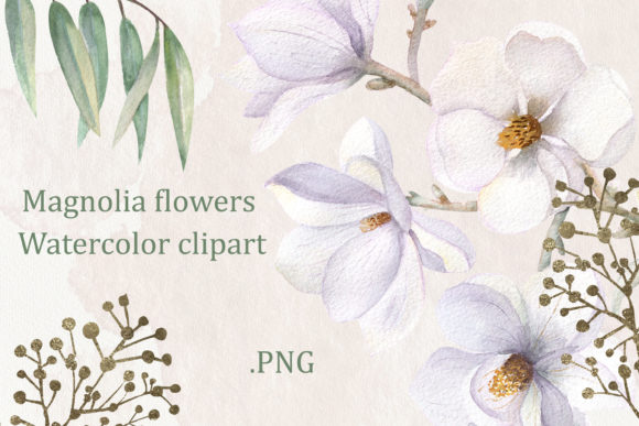 Magnolia Flowers. Watercolor Clipart