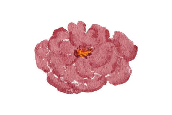 Peony Rose Flower Watercolor Element and Illustrations