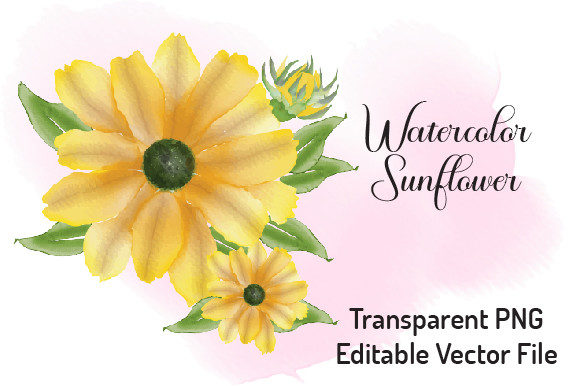 Sunflower Watercolor Clipart 7 Review