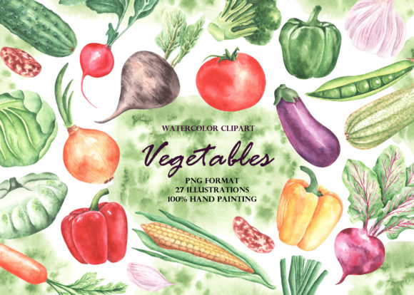 Vegetables Watercolor Clipart. Harvest Illustrations