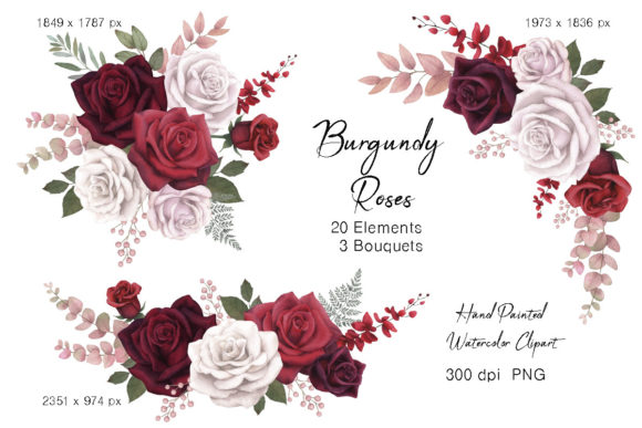 Watercolor Burgundy Floral Rose Clipart and Illustrations