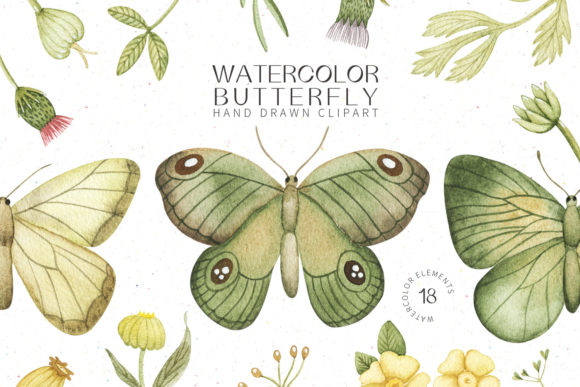 Watercolor Butterfly Greenery Clipart and Illustrations