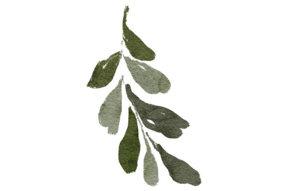 Watercolor Foliage Leaf Watercolor Paint and Illustrations
