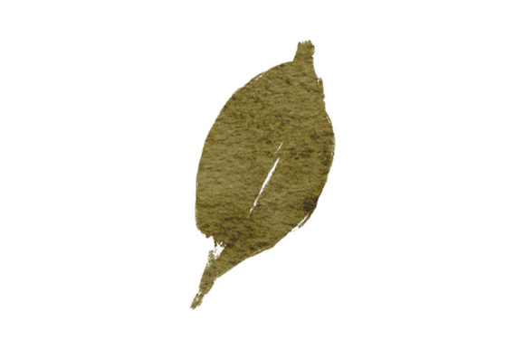 Watercolor Leaf Element Paint Greenery Illustrations