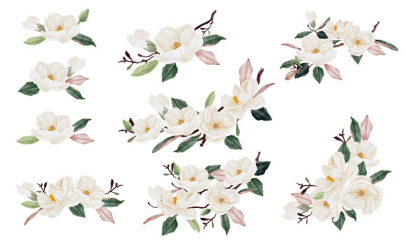 Watercolor Magnolia Bouquet Clipart and Illustrations