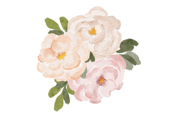 Watercolor Peony Flower Bouquet Paint and Illustrations