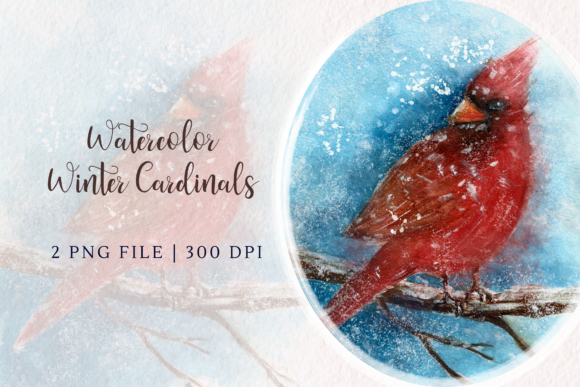 Watercolor Winter Cardinals Illustrations