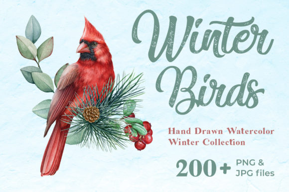 Winter Birds Watercolor Collection